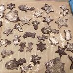 Pierniki w różnych światecznych kształtach gotowe do pieczenia.jpg