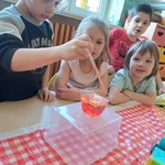 Chlopiec z gr. Biedronki zakrapla pipetą czerwony barwnik do wody z oliwą..jpg