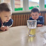 Dwóch chłopców z grupy Motylki obserwuje doświadczenie..jpg