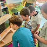 Czworo chłopców ogląda pszczoły podczas pracy i próbuje znaleźć królową pszczół..jpg