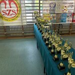 Puchary i statuetki na tle baneru Szkolnego Związku Sportowego