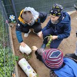 Uczniowie głaszczą króliki_ jeden uczeń trzyma w ręku liście do nakarmienia królika..jpg