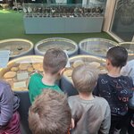 Uczniowie oglądają w gablotach skamieniałości oraz okazy skał i minerałów podczas zwiedzan.jpg