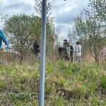 Grupa dzieci uczestniczy w sprzątaniu zarośniętego terenu. Młodzież w rękawiczkach ochronnych zbuiera śmieci do worków. 