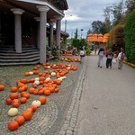 Uczniowie spacerują alejką udekorowaną licznymi pomarańczowymi i białymi dyniami oraz wiszącymi pomarańczowymi parasolami.
Zdjęcie 2: Dwie uczennice pozują, wyglądając przez otwory w planszy przedstawiającej zabytkową Wigierską Kolej Wąskotorową.