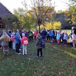 IMG_20211008_090055.jpg