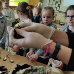 1649852103787.jpg