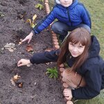 Na podwórku dwoje dzieci sadzi żonkile_ wkładają cebulki kwiatowe do ziemi.jpg