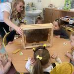 Dzieci z grupy Pszczółki oglądają prawdziwe pszczoły podczas warsztatów..jpg